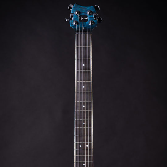 manche-guitare-ebene