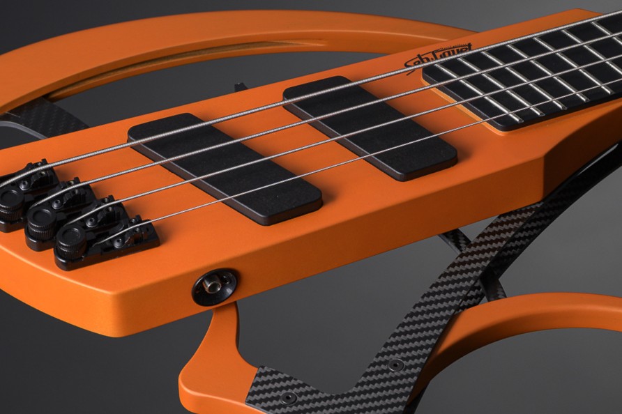 Mantispa-bass-Micro2 Mantispa-bass-micro