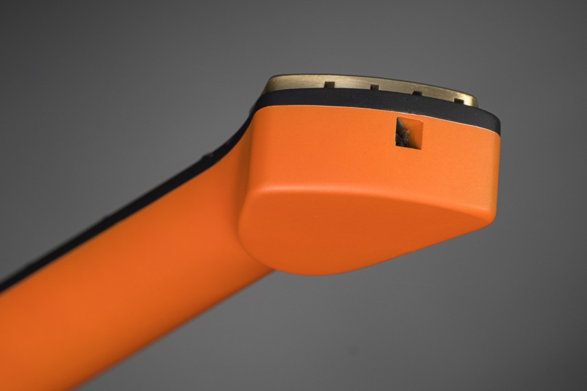 Mantispa-bass-tete-01 head-headless-bass